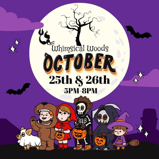 Governance and board work